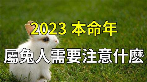 2023屬兔佩戴